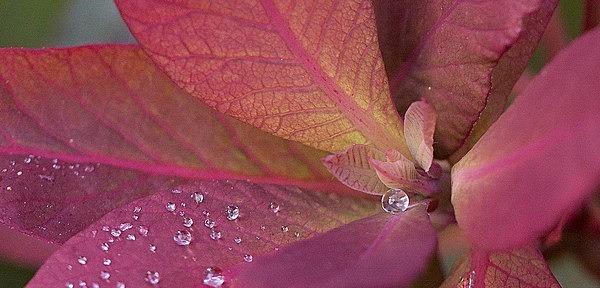 IMG_2502 pse2 - Legacy images - prior to 2018