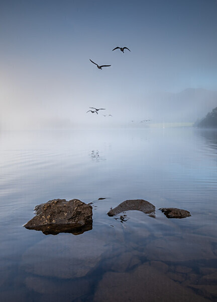 Derwent Geese IMG_9387 v2 - Best of 2019 - Autumn, Winter