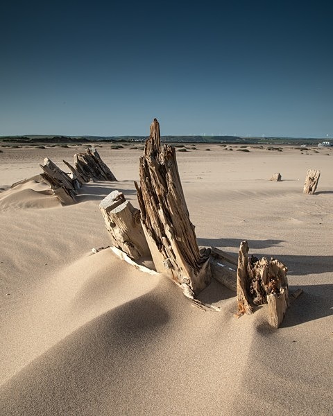 Crow Point 1159 b - Best of 2019 - Spring, Summer