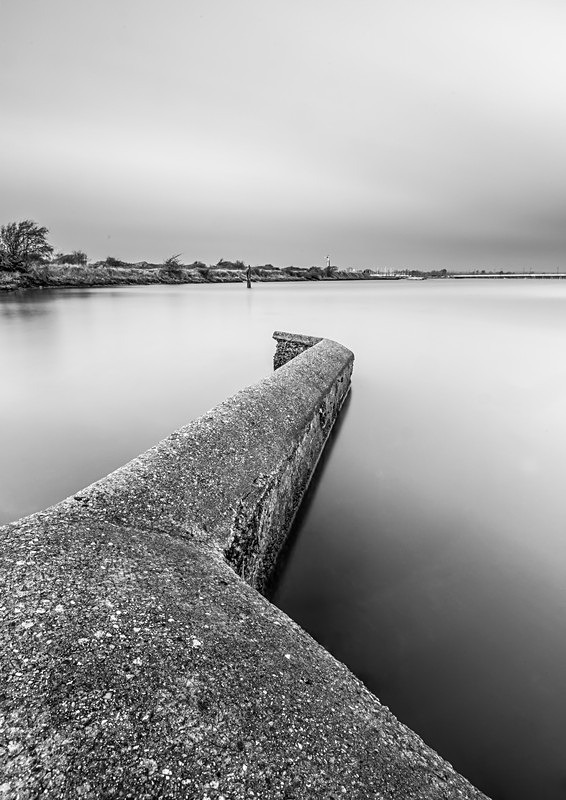 IMG_7336 v2 bw - Best of 2021