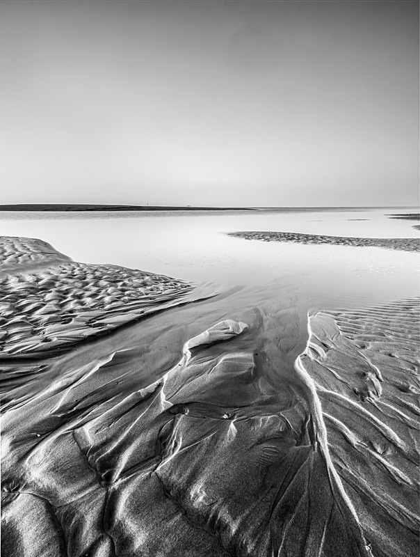 IMG_0547 v2 bw - Best of 2021