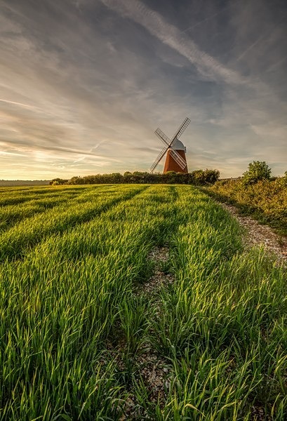 Halnaker Mill 9430 v2 - Best of 2019 - Spring, Summer