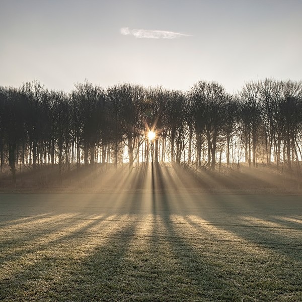 Moor Crichel 3385 v2 - Best of 2019 - Spring, Summer