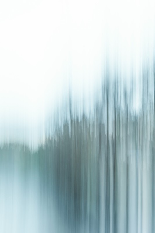 IMG_1331 v9 v9b - ICM