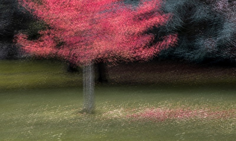IMG_9626-v5-resized - ICM