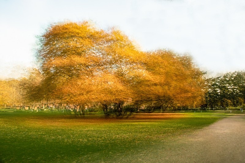 IMG_0397-v3-resized - ICM