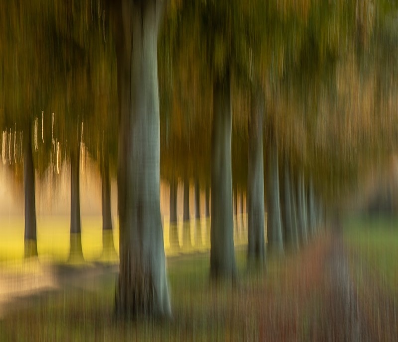 IMG_0720 v2 - ICM