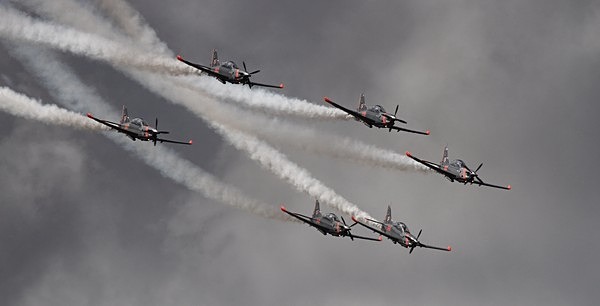 IMG_9417 pse - Legacy images - prior to 2018