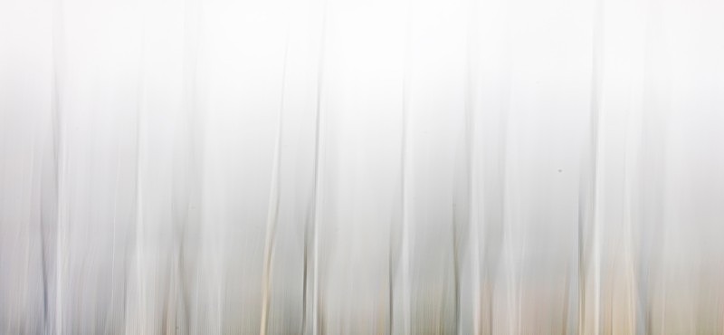 IMG_8912-v2-resized - ICM