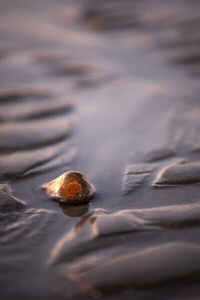 Hayling Beach IMG_7975 - Best of 2019 - Autumn, Winter
