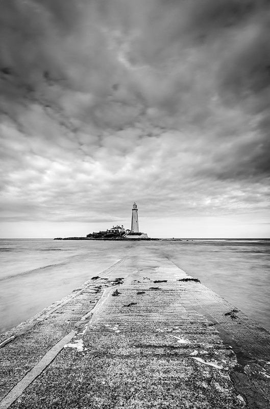 IMG_6251 copy - Northumbria 2023