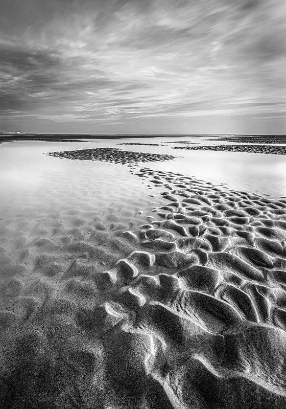 IMG_3379 bw v4 - Portfolio