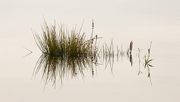 Testwood Lakes IMG_1604 - Best of 2019 - Autumn, Winter