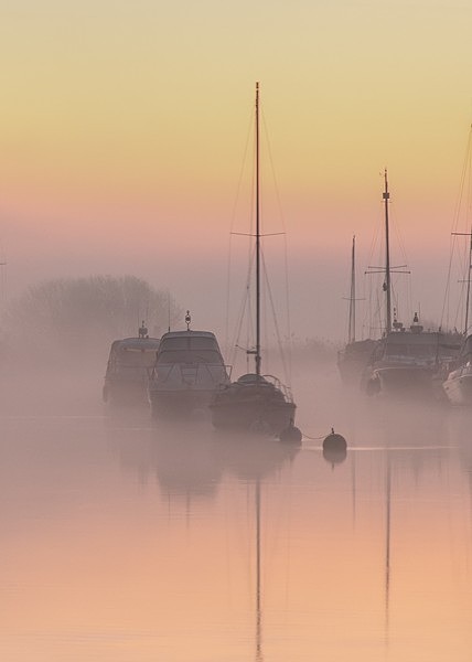 Wareham Channel 3895 v5 tick - Best of 2019 - Spring, Summer