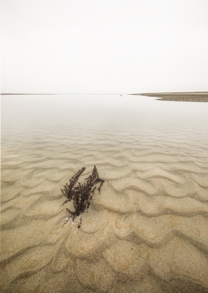 West Wittering 6749 v3 - Best of 2019 - Spring, Summer