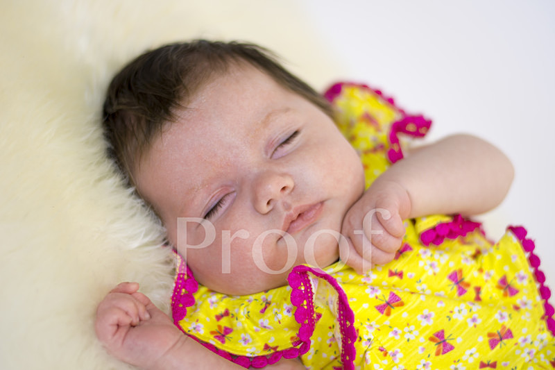  - Mini Photoshoots
