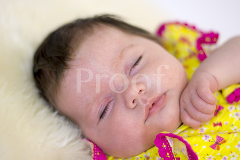  - Mini Photoshoots