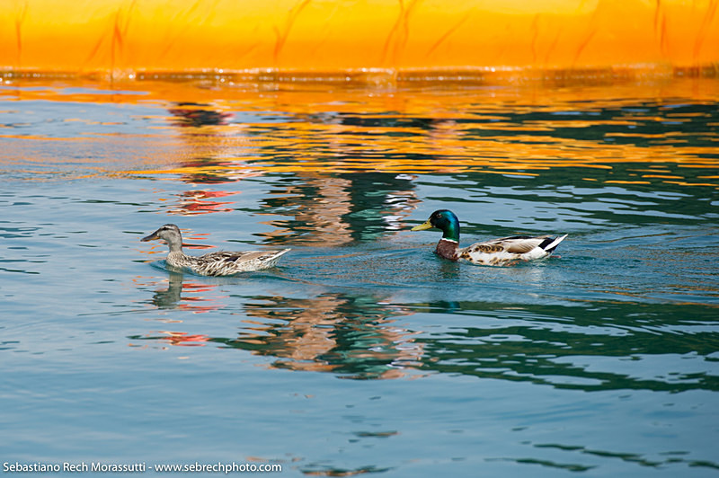 Floating Piers