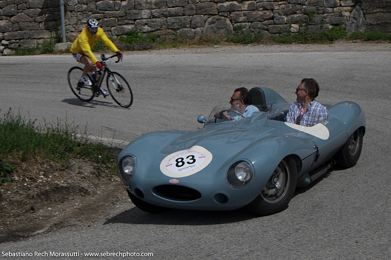 83 - Jaguar D Type - 1955 - Mitiche Sport a Bassano - 2015
