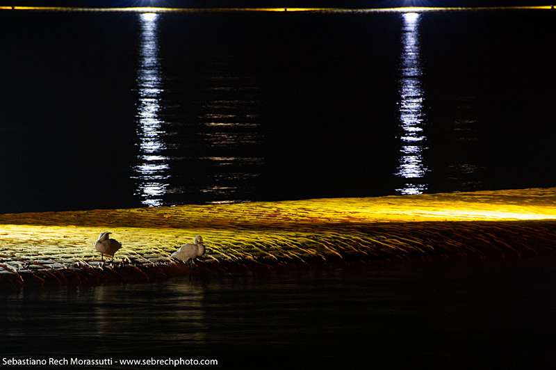 Floating Piers