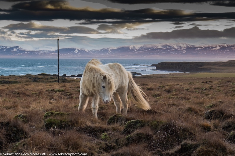  - Iceland - 2016 Winter