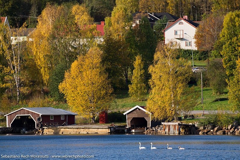  - Lappland & Coast