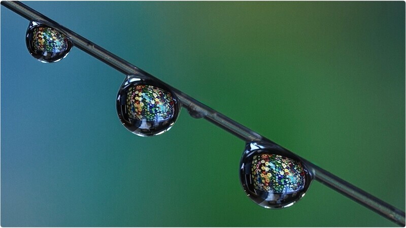 Digital - Gold - Jayne Crocker - Drops of colour - The Gary Jenkins Memorial Macro & Close up