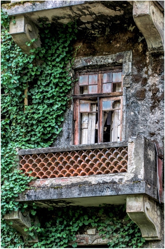 2 Overgrown Balcony - Panels