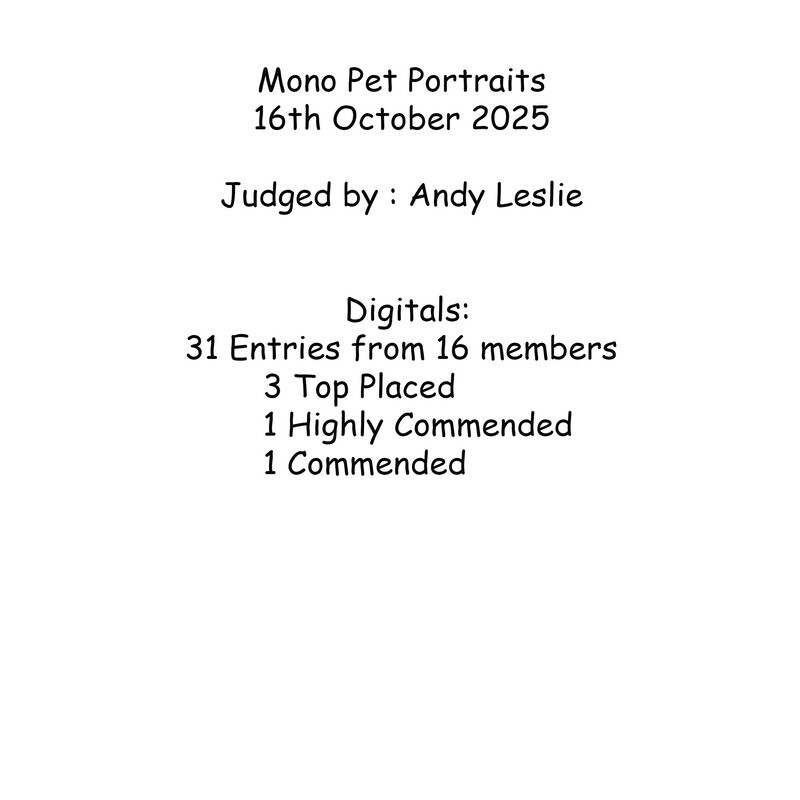 Result summary Mono Pet Portraits - Mono Pet Portraits