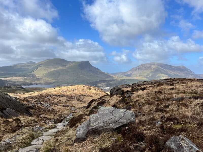 digital-silver-Tracey Neale-Majesty of the Mountains - Landscape