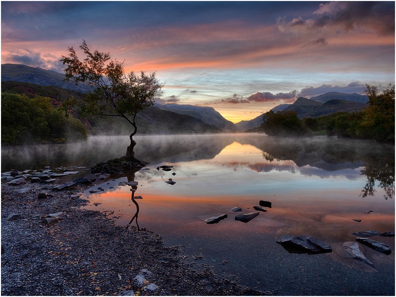 1st DPI-The Lonely Tree-Dave Marriott - Landscape