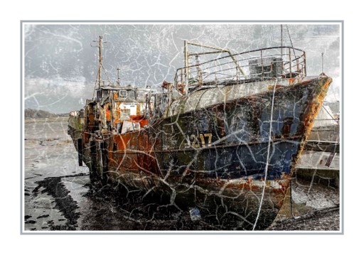 1st Print Robbie Daley J217 - Creative