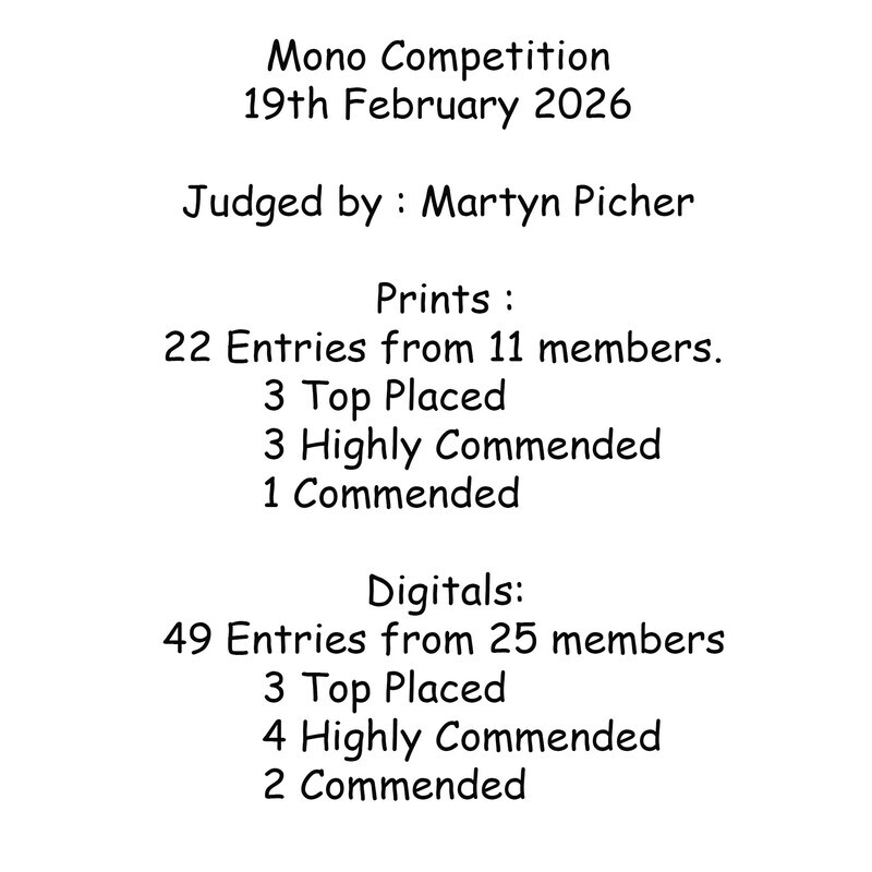 Mono Summary sheet - Mono