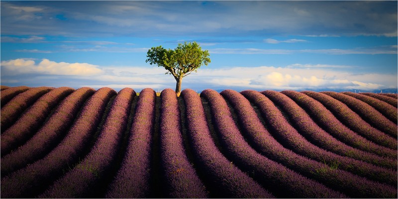 2nd DPI-Guarding Over-Chris Warren - Landscape