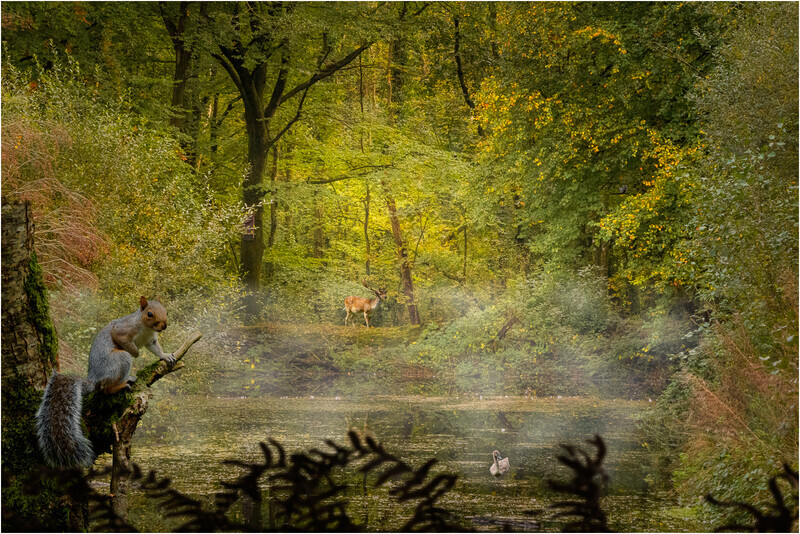 Silver-Print-Gary Mayhew-Down by the Pond - Creative