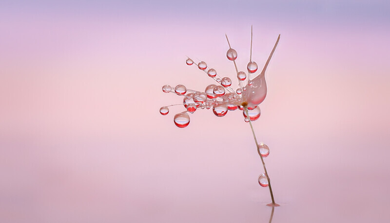 Digital-Bronze-Jan SullivanDROPLETS - Ceative