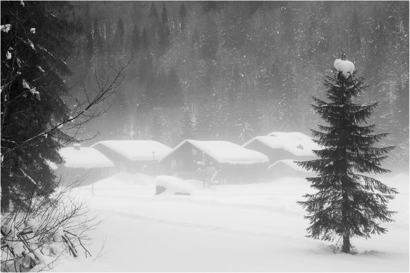 3rd PDI Mist And Snow Andrew Weaver - Mono