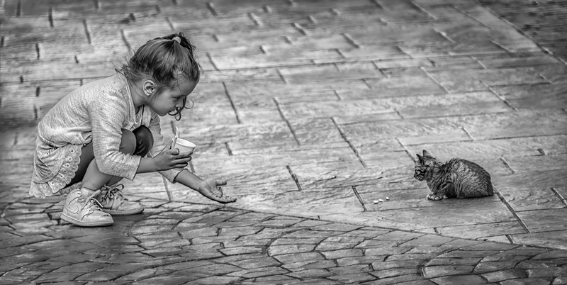 Gold - Jan Sullivavn - A Handful of kindness - Digital Photograph of the The Year