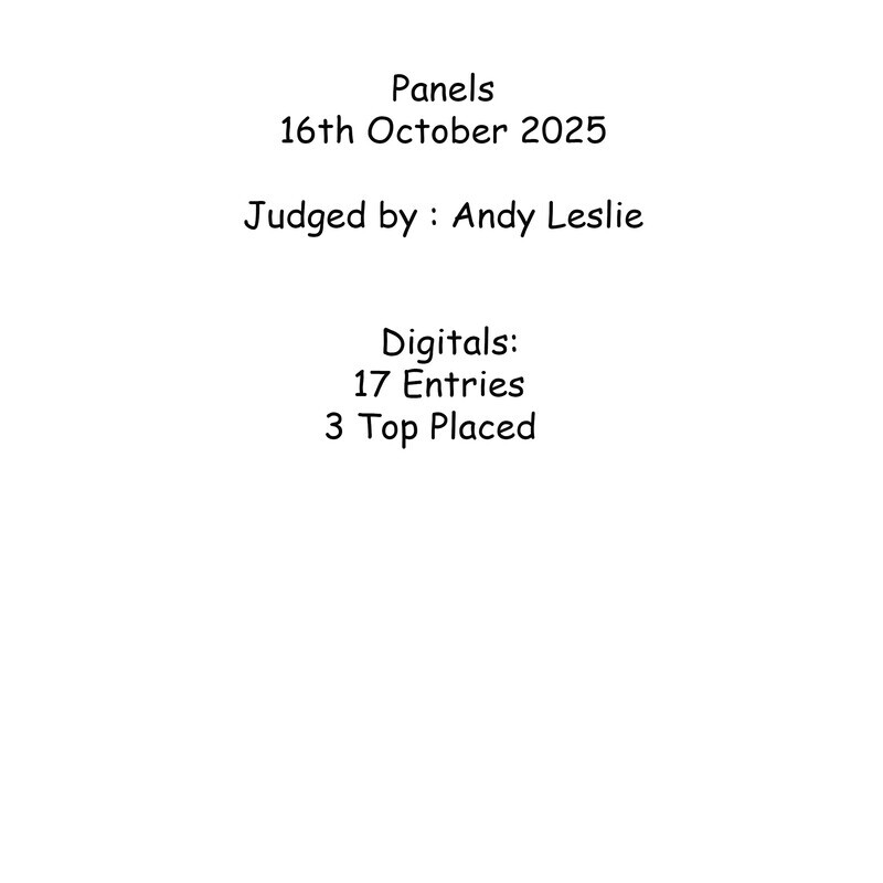 Result summary Panels - Panels summary