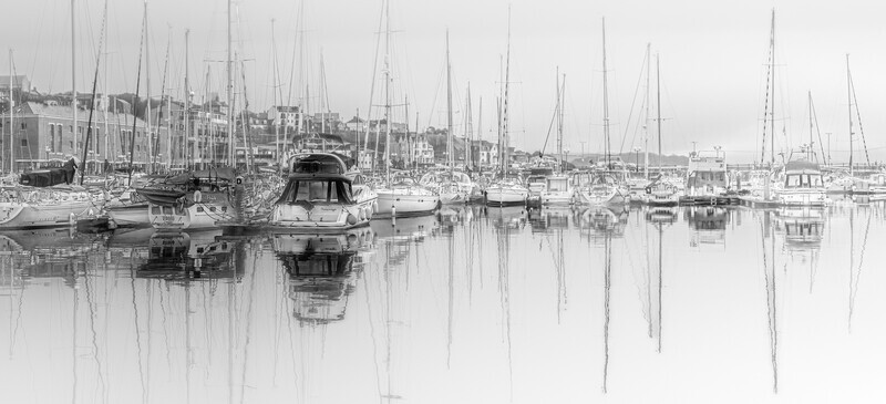 Bronze-Print-Jan Sullivan-STILL WATERS - Mono