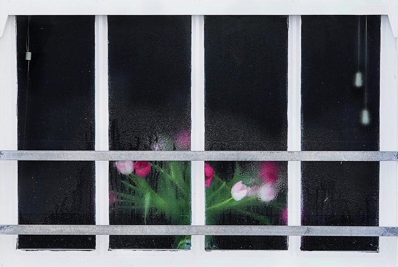 Bronze - Sara Josey - Tulips in a Window - Creative Digital