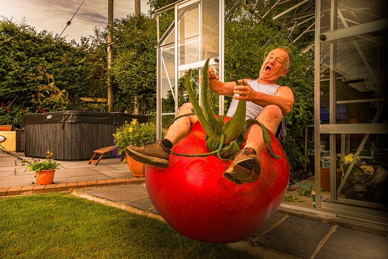 Silver-Dave Bolton-Agnes come quick the tomatoes are bolting - Creative