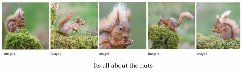 3rd PDI-Its All About The Nuts-Charlie Kidd - Panels