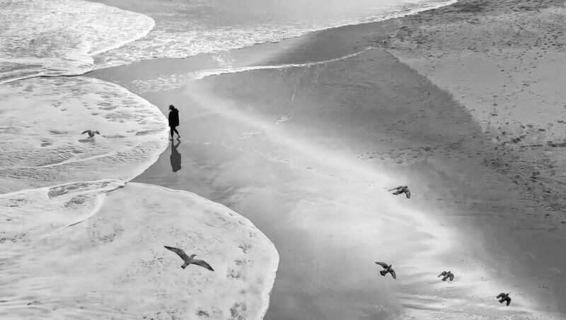Silver - Gill Mackay - Birds eye view - Digital Smart Phone