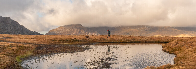 Gold - Ali Rees  Walking Eryri - Print Photograph of the Year