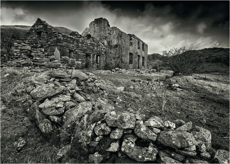 2nd Neil Thomas Miners residence - Landscape