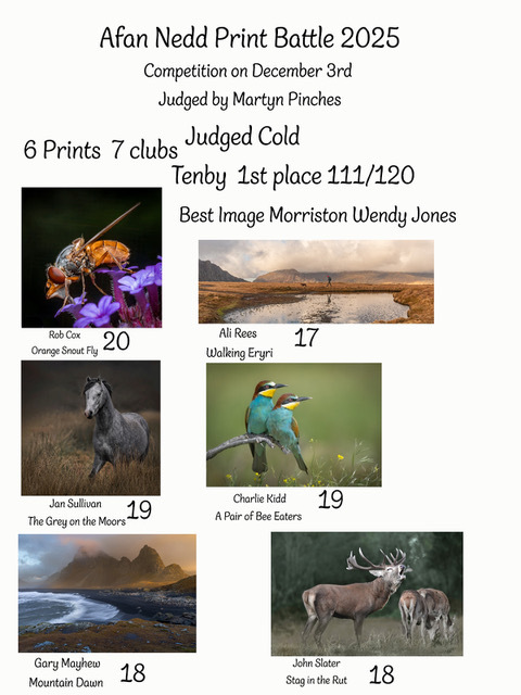 2025 Afan Nedd - Afan Nedd Print Battle