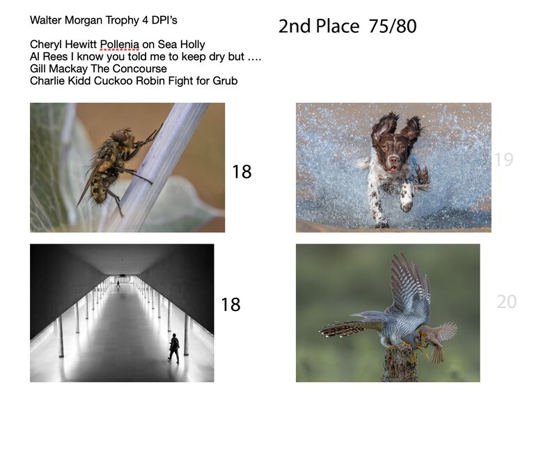 2020 Walter Morgan Trophy  - WPF Walter Morgan Trophy