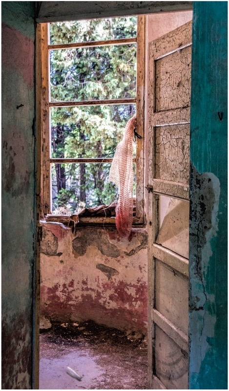 5 The Open Window - Panels