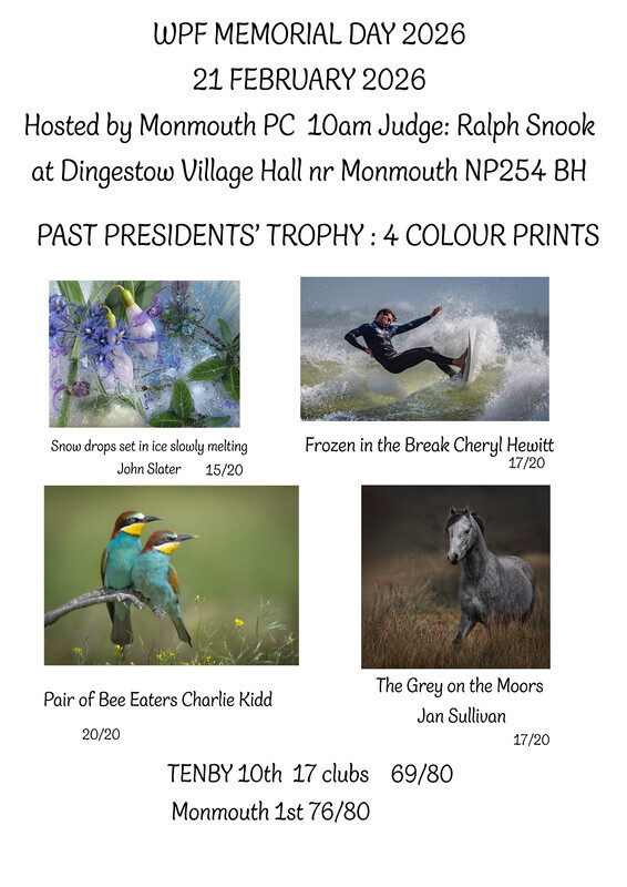 2026 Past Presidents Trophy - WPF Past Presidents Memorial